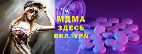 индика Костерёво