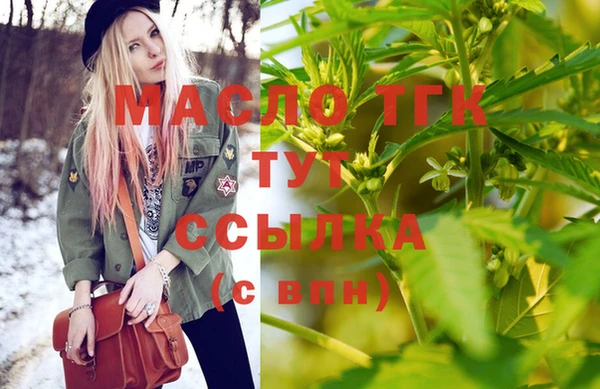 индика Костерёво