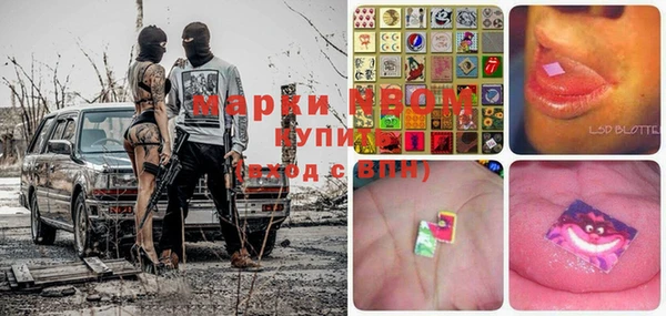 стафф Корсаков