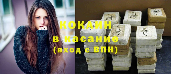 стафф Корсаков