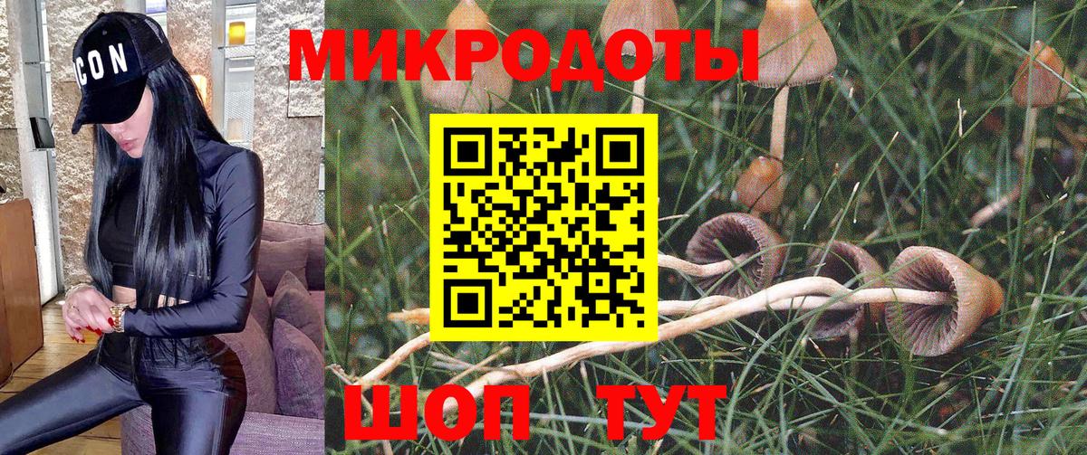 Псилоцибиновые грибы прущие грибы  Вход с VPN  Кумертау 