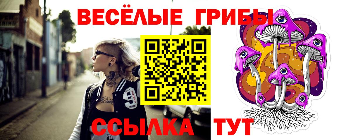Галлюциногенные грибы MAGIC MUSHROOMS Кумертау